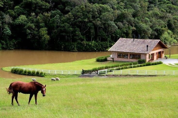 Por que é tão importante? * Regularização de Imóveis: Ajuda a formalizar a situação de milhares de propriedades em todo o país. * Segurança Jurídica: Garante o direito de propriedade para quem de fato usa e cuida do bem. * Função Social da Propriedade: Contribui para que imóveis cumpram sua finalidade social. Existem diferentes tipos de usucapião (extraordinária, ordinária, especial urbana, especial rural, familiar, etc.), cada um com seus próprios requisitos de tempo e características.